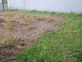 Le jardin potager