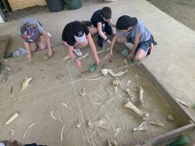 Article #1 : on a visité le préhistosite de Brassempouy