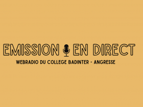 webradio-du-college-badinter-angresse-684987885a81f137128443.png